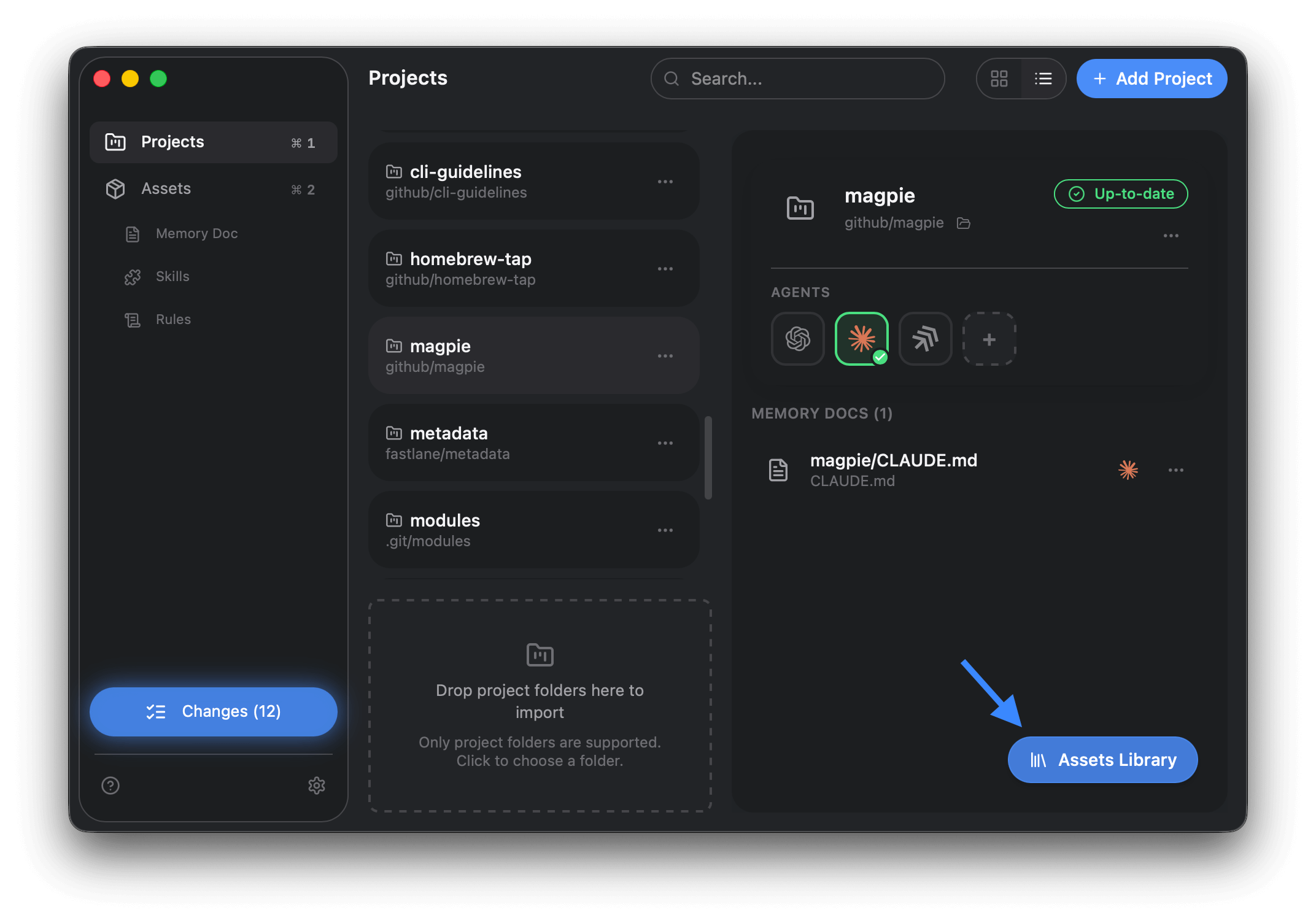 Open Assets Library from project details